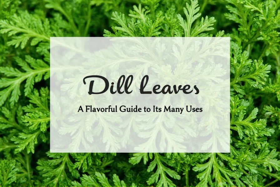 Fresh Dill