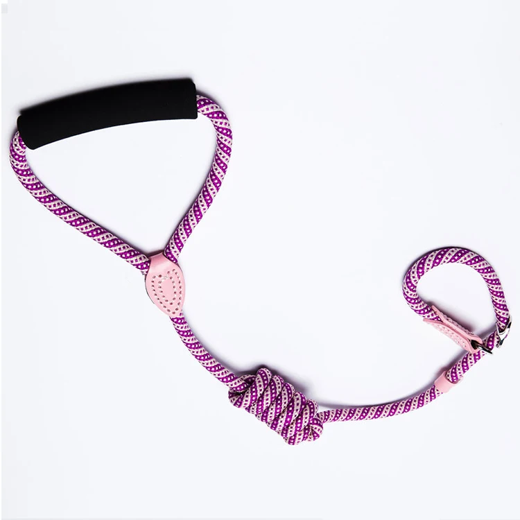 

High Quality Nylon Webbing PU Leather Dog Leash And Collar Set