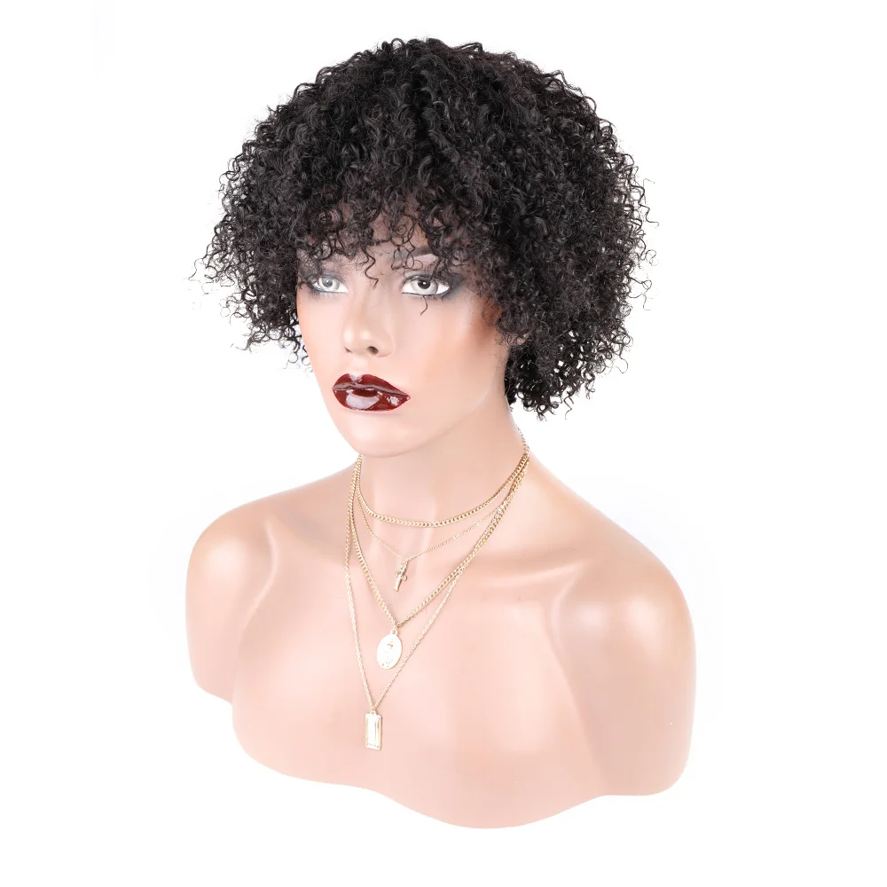 

Free Shipping Virgin Brazilian Hair Curly Wigs Cheap Cuticle Aligned human hair wigs For Black Women