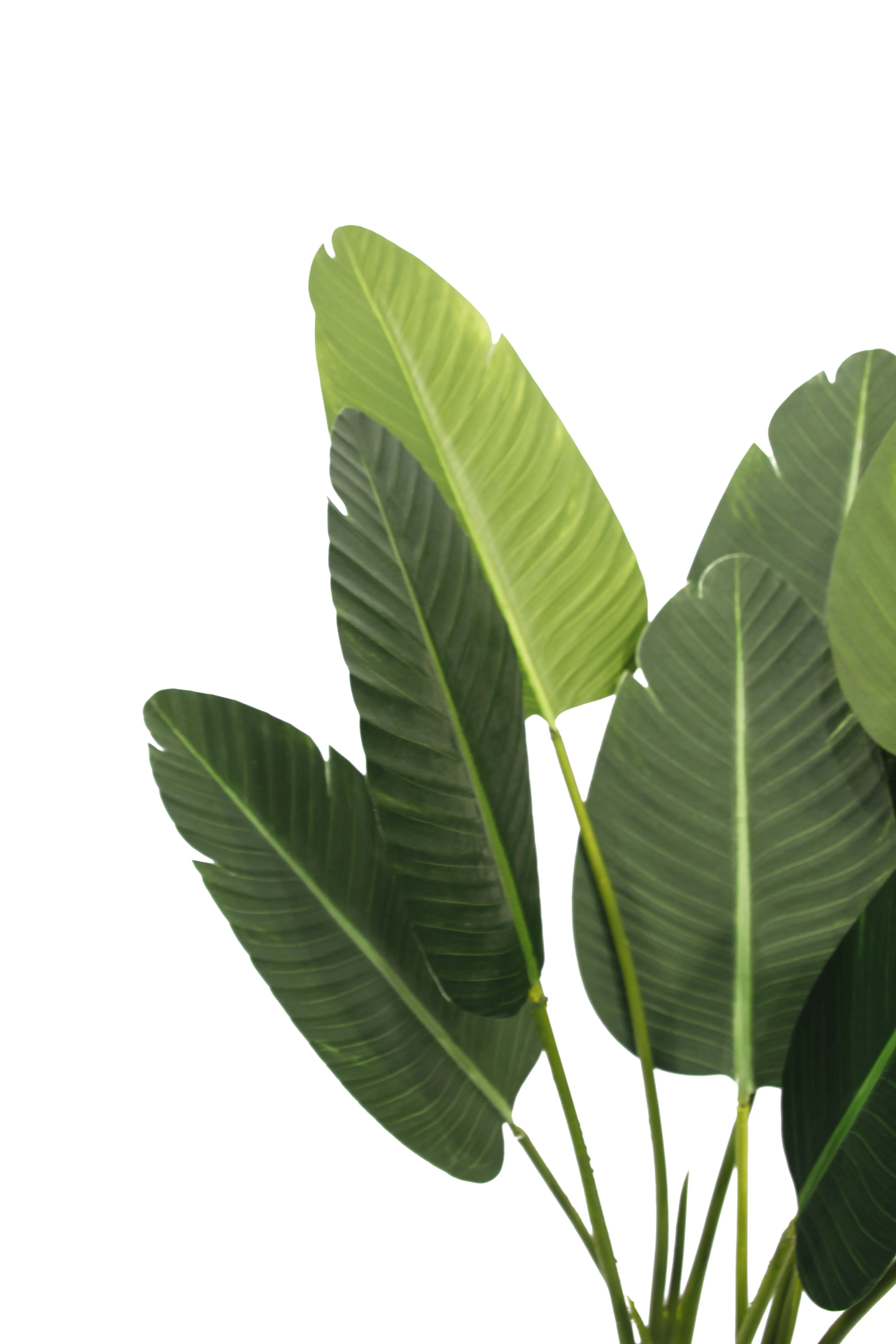 120厘米叶模拟绿色植物人造pu旅行者香蕉树