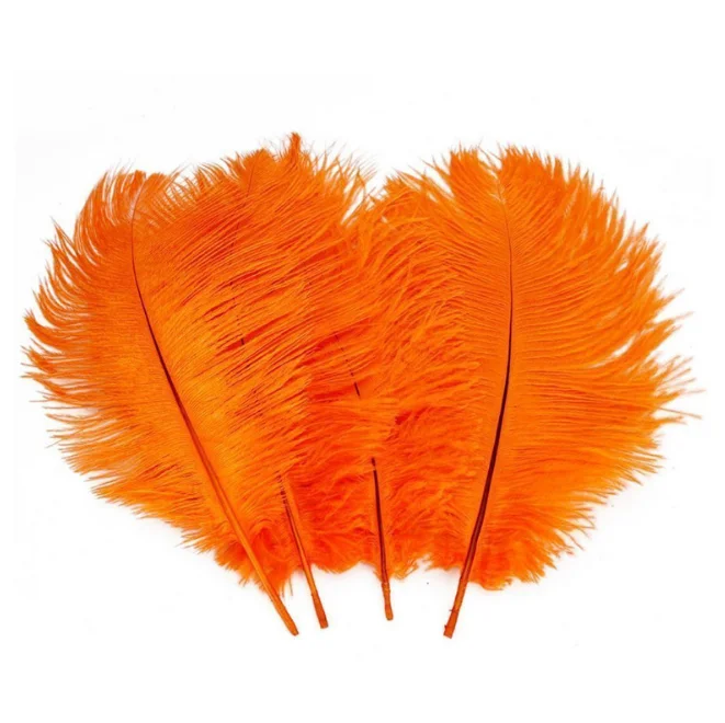 wholesale natural decorative carnival festival ostrich feather