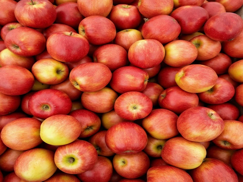 Assortment of fresh apples for baking pie