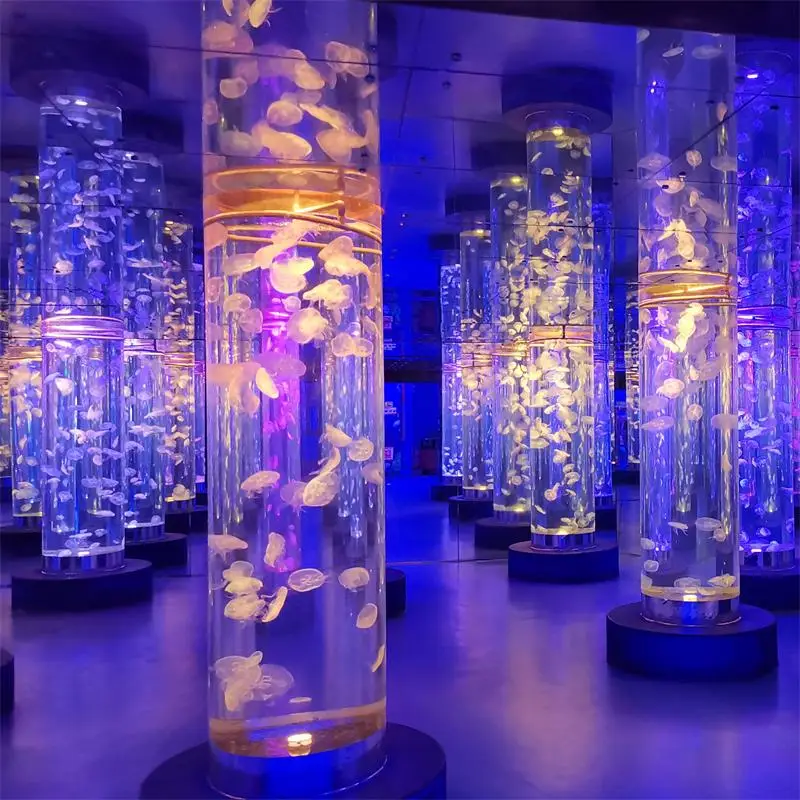 Jellyfish Aquarium 2