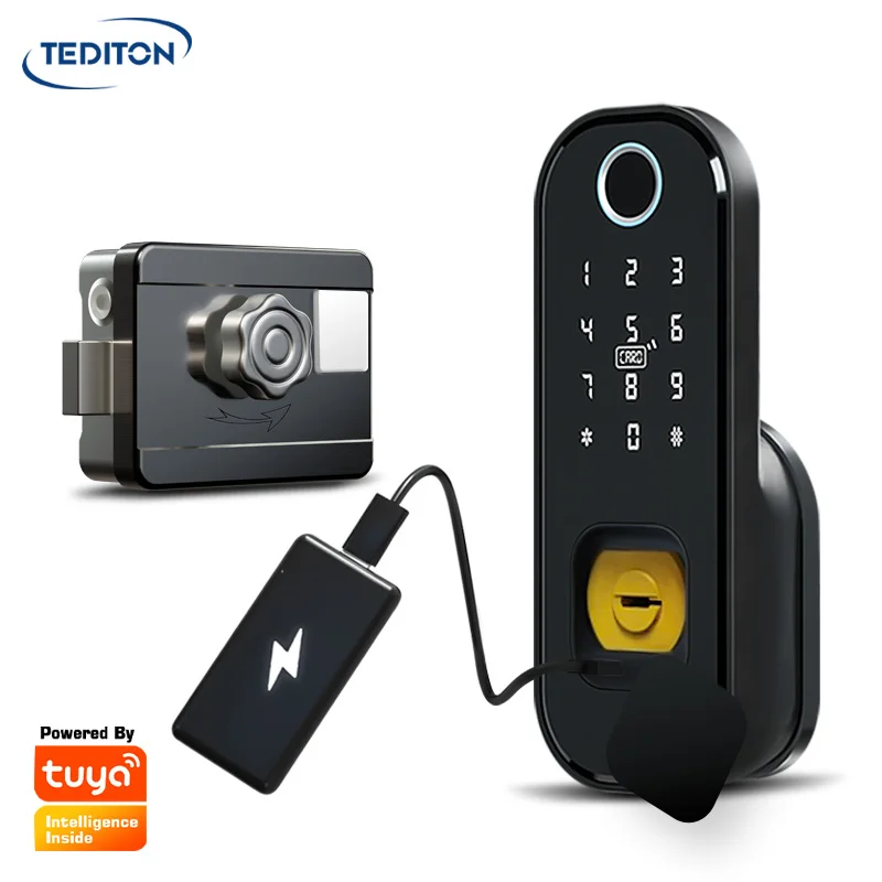 

Tediton IP65 Waterproof Intelligent Electronic Digital Fingerprint Security Gate Wifi Tuya Electric Rim Lock