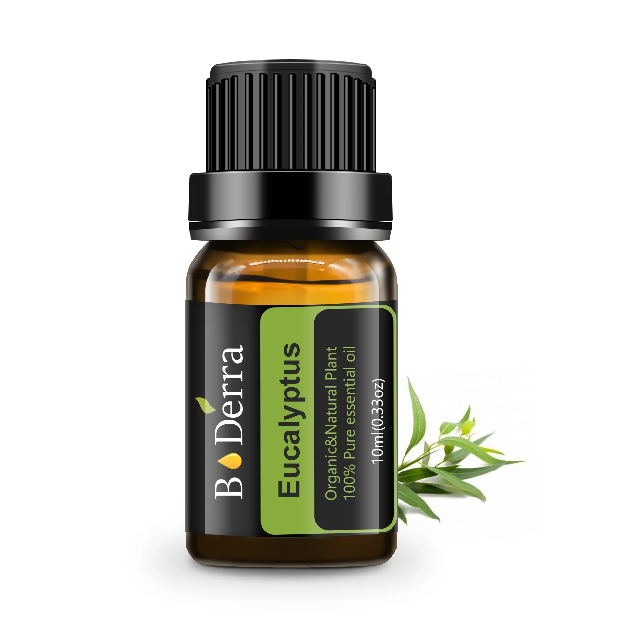 

Pure natural organic eucalyptus essential oil in bulk