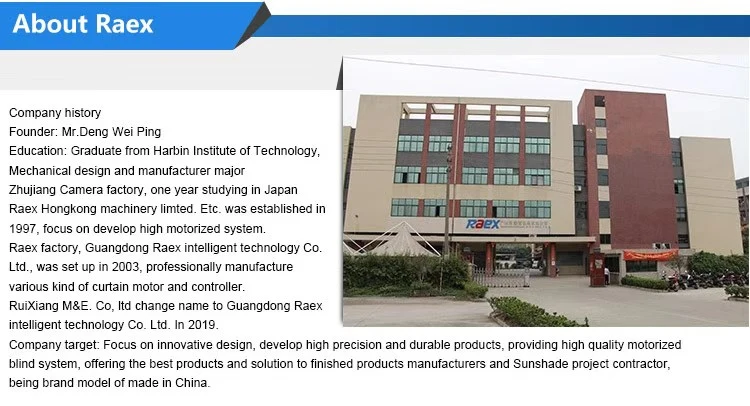 raex-company information.jpeg