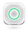 2019 Factory Price Standalone Work UK/US/EU Plug Pin Smart Home WiFi Tuya Gas Detector PST-WS2CG