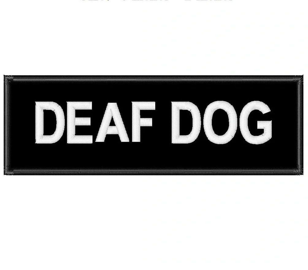 Custom Eco-Friendly Iron-On Fabric Patches Personalized Name and Text Embroidered in Felt for Hats