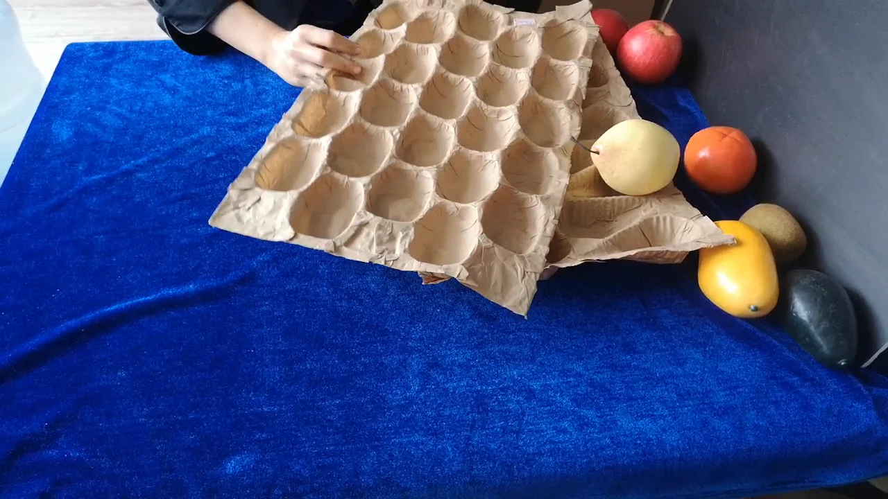 Disposable Fruit Packaging Kraft Paper Multi Layer Tray Liners For