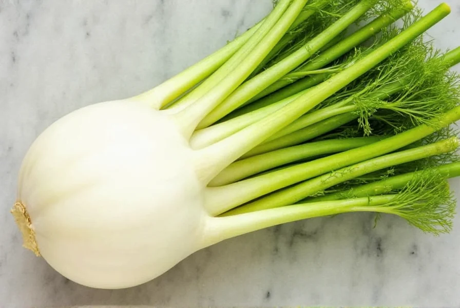 Roasted fennel vegetable slices with herbs on baking sheet