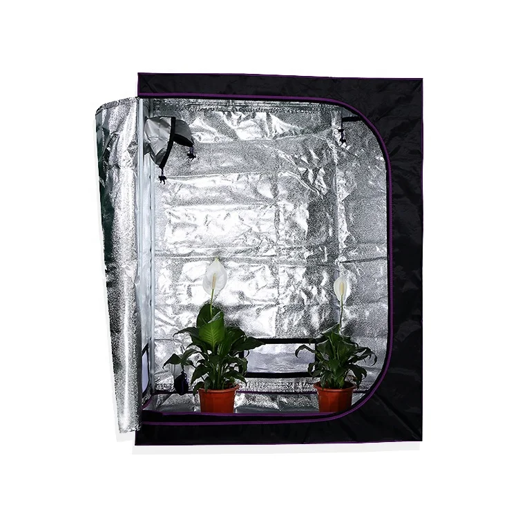 

Meijiu Free Shipping Large Grow Tent 5x5 Indoor Grow Tent Complete Kit, Hydroponic Fan 10x10 Plant Grow Tent Kit, Black