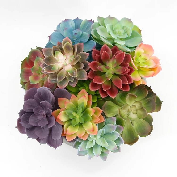 

Wholesale Simulation Lifelike Real Touch Various Succulent Plants Artificial Soft Plastic Succulents, Blue, light claret, light green, light purple, green pink