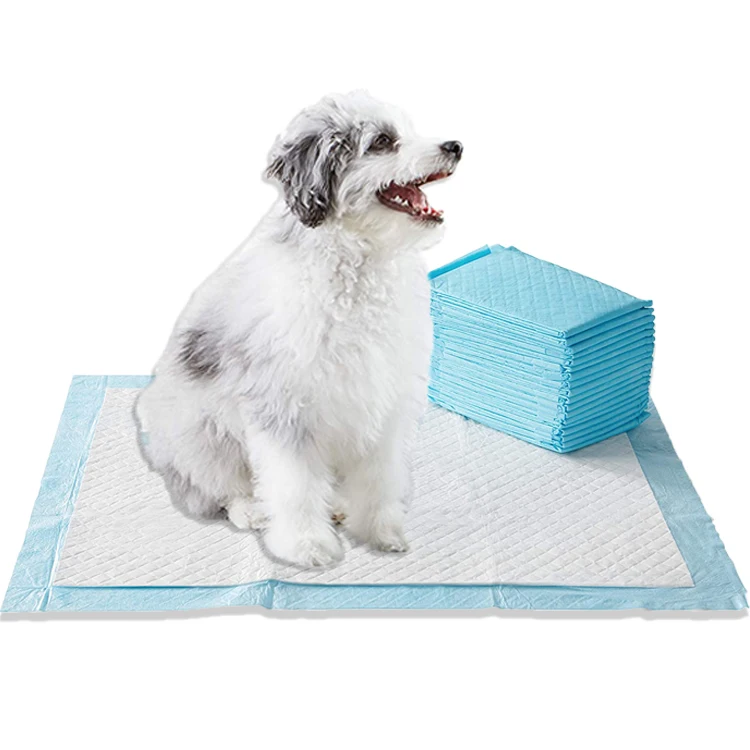 

Pet Dog Diapers Super Absorbent Cat Training Urine Pee Pads Healthy Clean Wet Mat Disposable Dog Diaper Training Pad, Blue