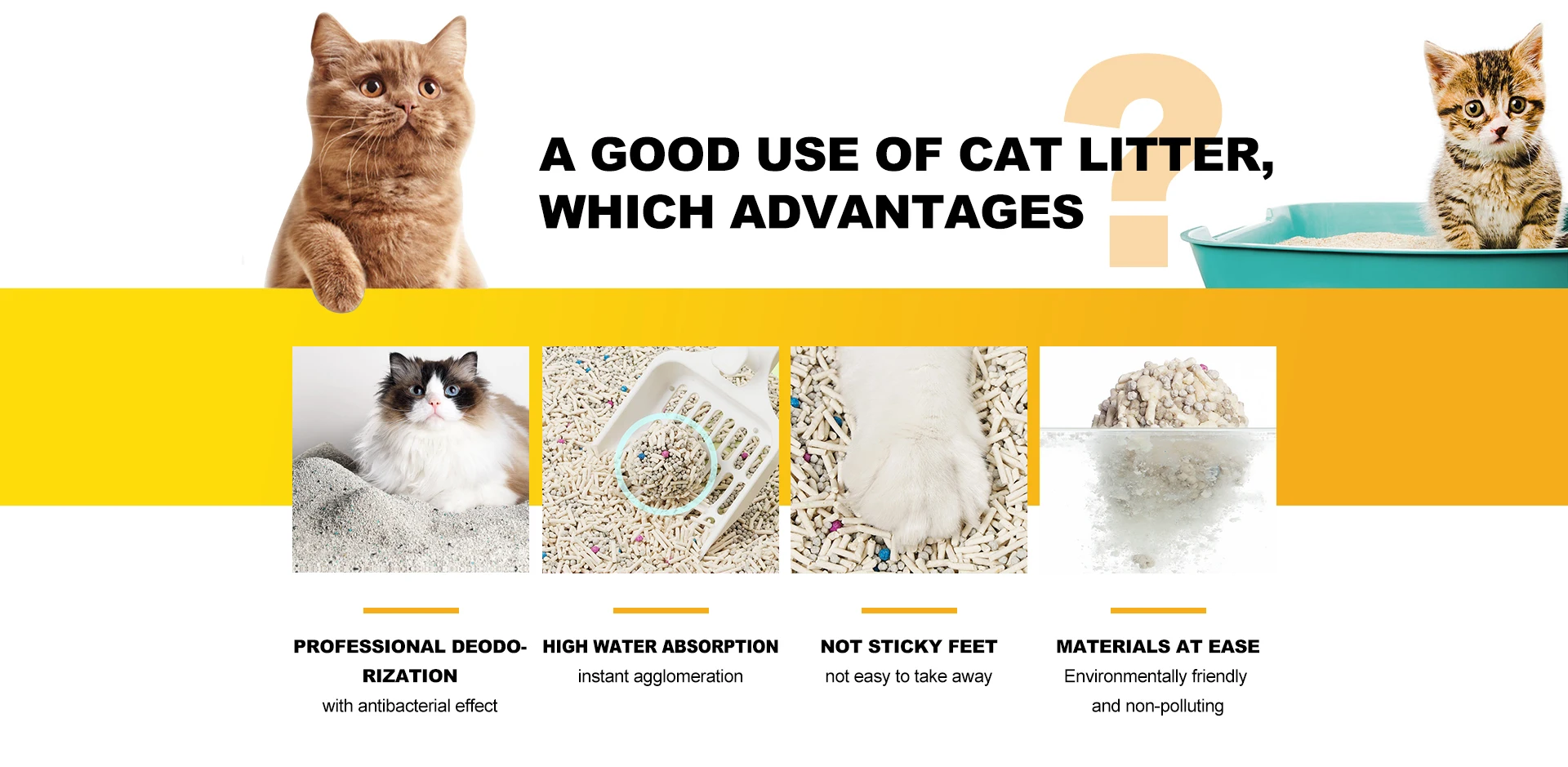 Xingtai Hongxin Pet Products Co., Ltd.