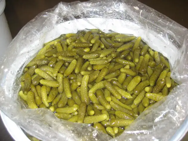 
cornichons Pickled cucumbers gherkins 