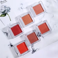 

OEM Beauty Powder Blush Multiuse Cheek Palette