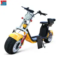 

2000W Electric Off road Motorcycle Electric Motorcycle