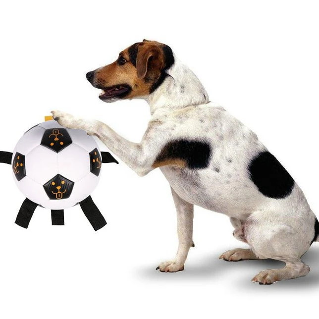 

High Quality Dog Toys Interactive Pet Football Toys Outdoor Training Soccer Pet Balls