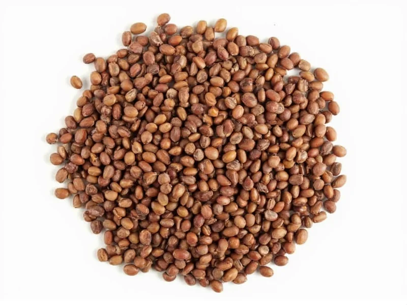 How Much Protein Is in Lentils? Complete Nutritional Breakdown
