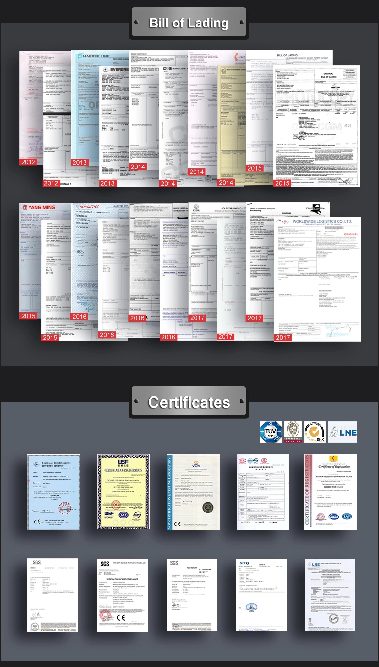 why02.webp.jpg