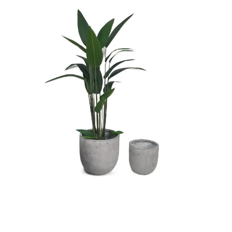 

Plant PotEco Friendly Docarative Garden Small Tree Planter Flower Pot Biodegradable Stylish Green Customized Logo Style Modern