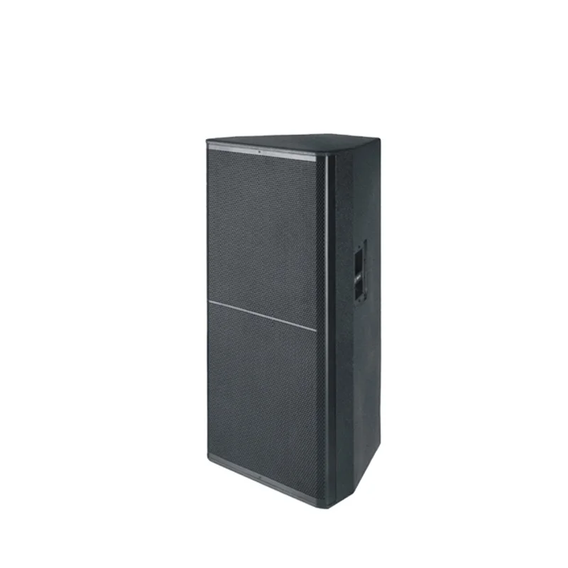 

Professional 1000w dual 15inch speaker