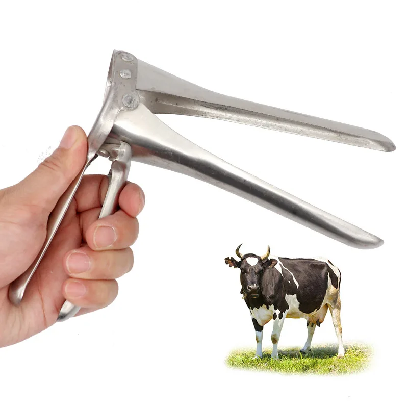 

Veterinary Instrument Animal Vaginal Dilator Carbon Steel Cattle Cow Vaginal Speculum Dilator for sale