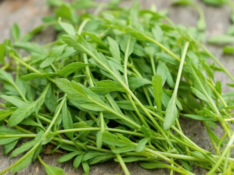 Tarragon Taste Profile: Anise-Like Herb Explained