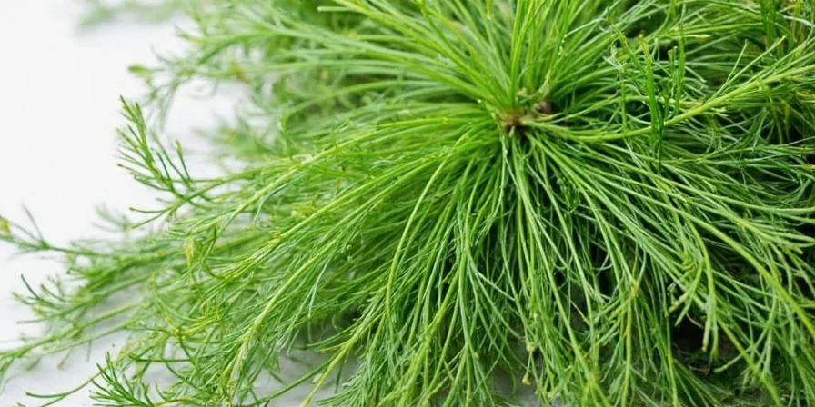 GIF showing exaggerated reaction to too much dill