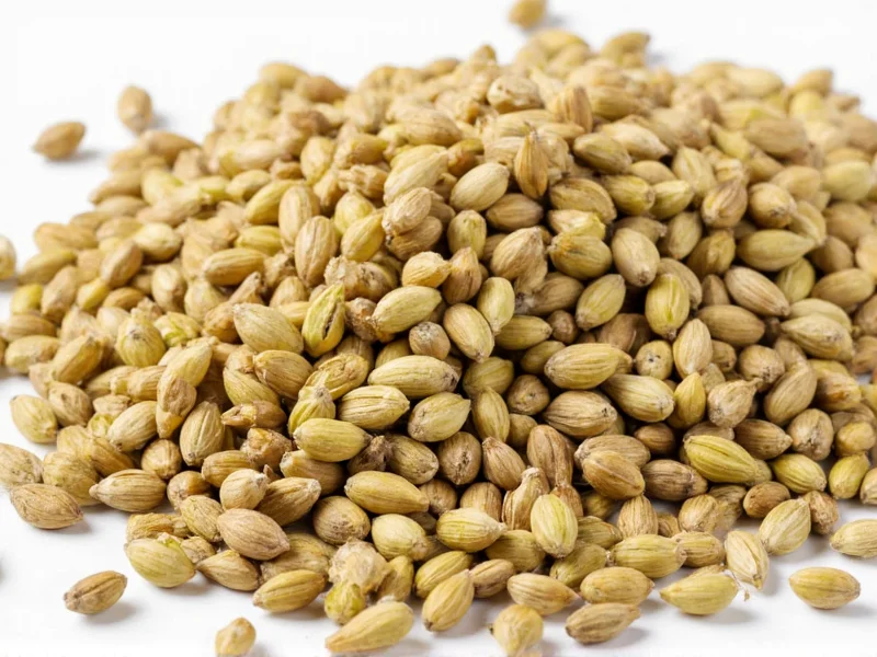 uses of cardamom seeds