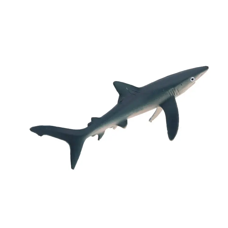 educational shark toys