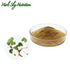 /product-detail/best-selling-organic-10-1-centella-asiatica-extract-in-bulk-60758657195.html