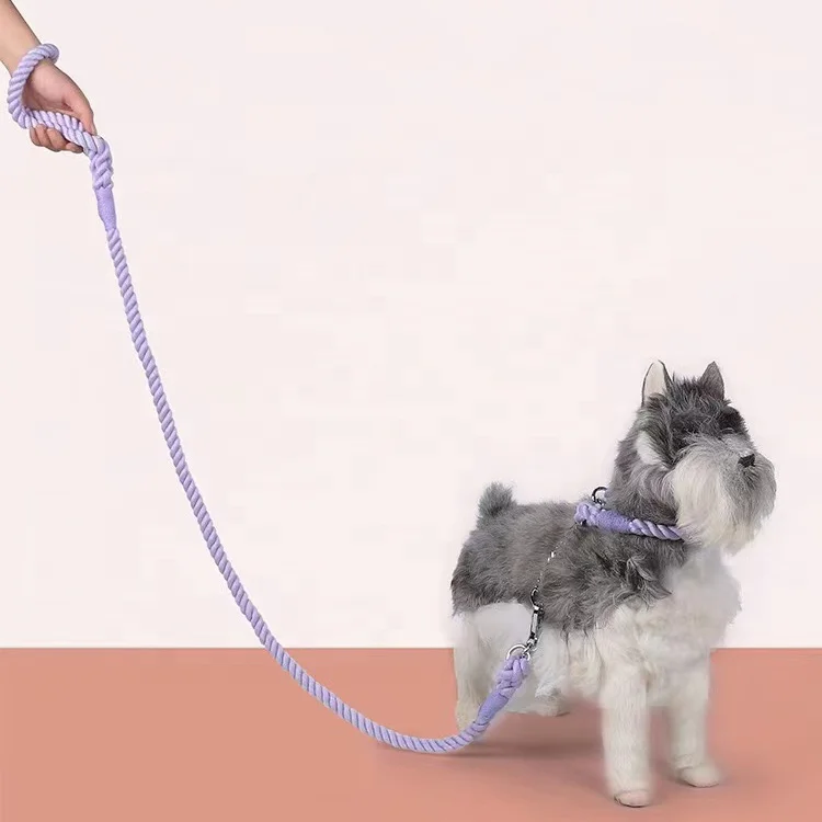 

New Inventions Unique Cotton Organic gradient color rainbow hand-dyed woven cotton rope dog soft leash, Picture shows