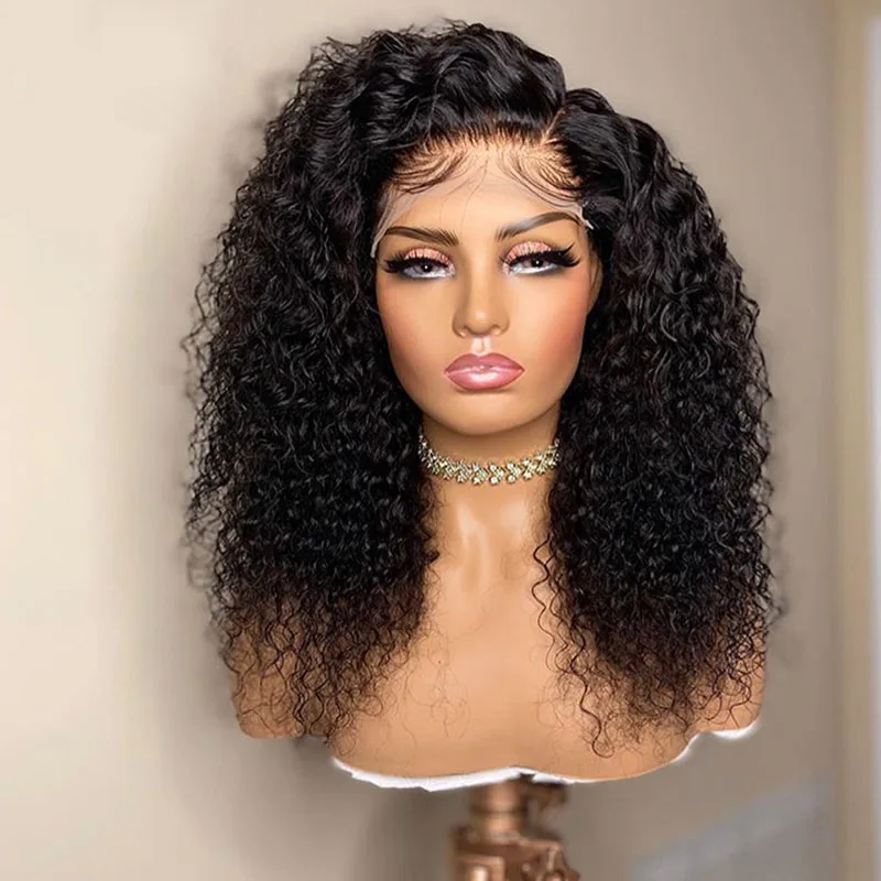 

Curly Lace Front Wigs Unprocessed Brazilian Virgin Hair Wigs Pre Plucked Lace Front Human Hair Wigs for Black Woman