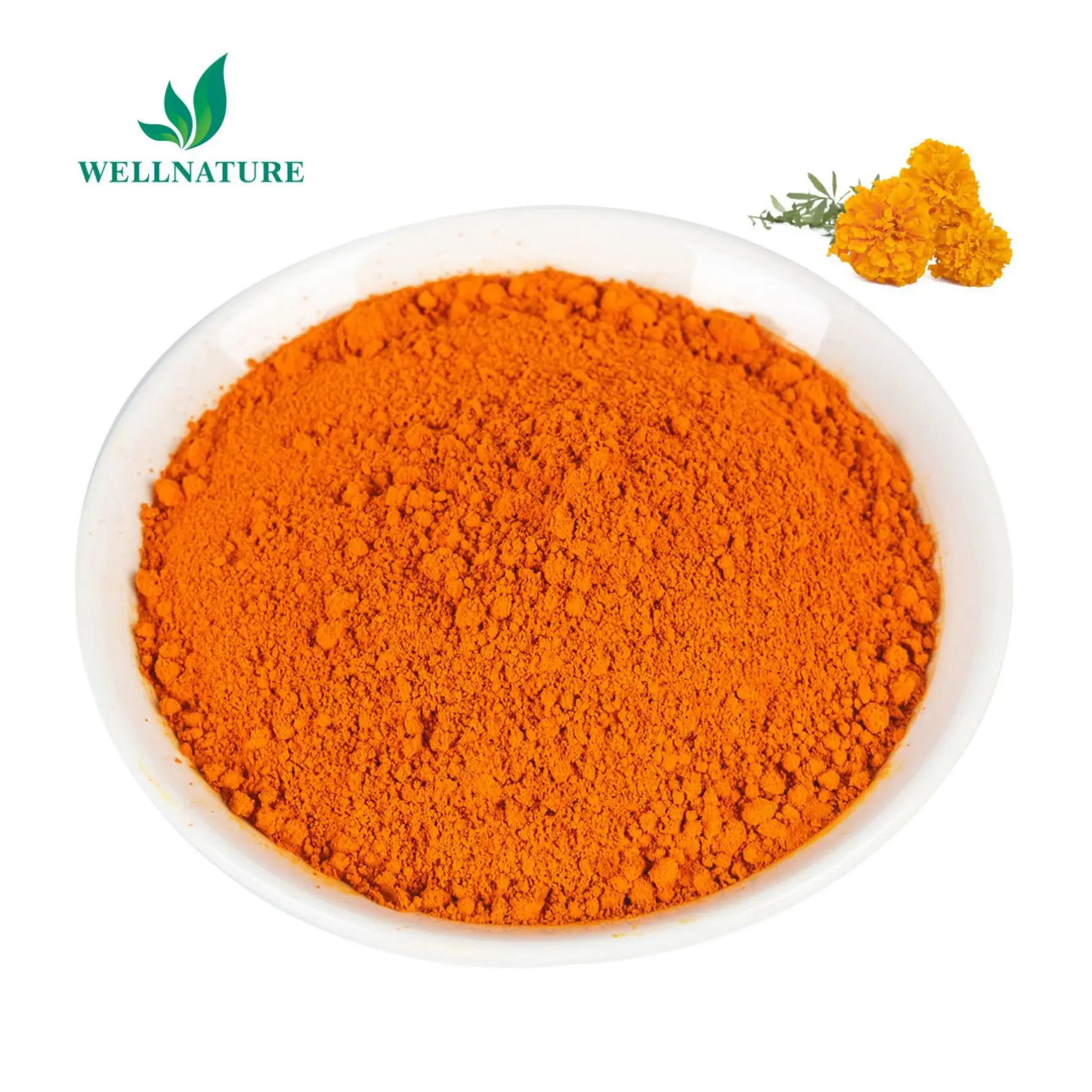 

Wellnature Supply Natural 10% Xanthophyll Marigold Flower Extract Lutein Xanthophyll Powder