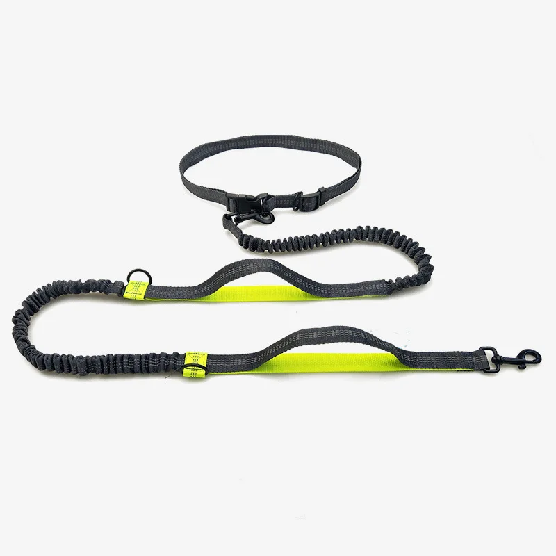 

Pet Products Pet Leash Portable Running Reflective Double Retractable Dog Leash