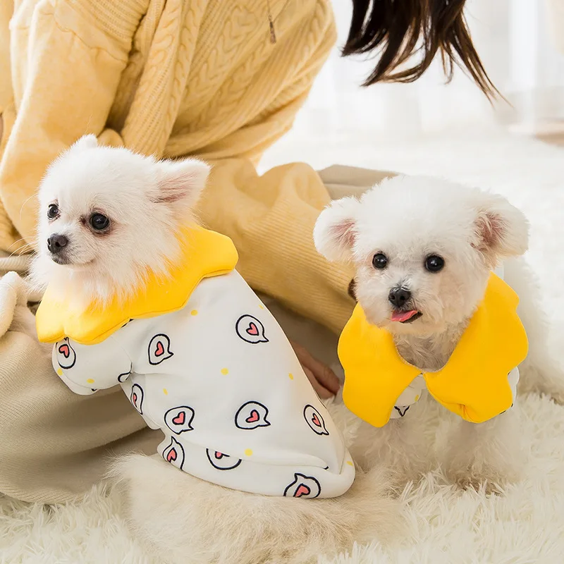 

Autumn New Style Dog Sweater Dog Two Legged Clothes Cat Autumn Winter Cat Clothes Cute Pet Clothes Cats