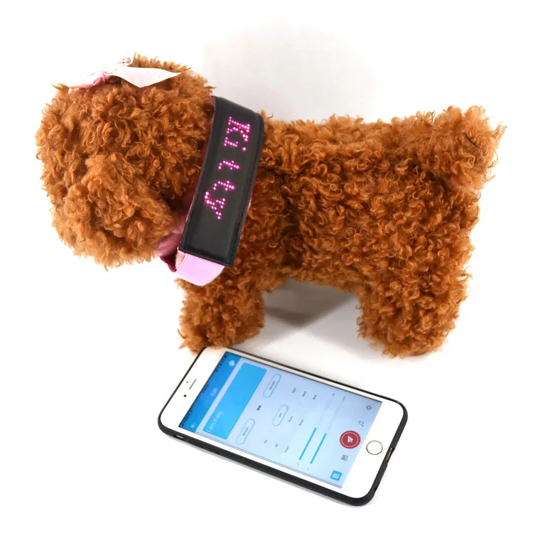 

2020 New Products Outdoor APP Programming Led Pet Collar