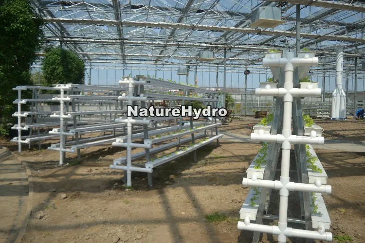 Greenhouse NFT Grow System - Efficient Hydroponic Channels