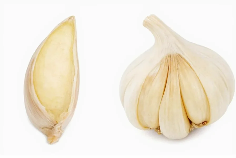 Comparison of fresh garlic cloves with various garlic substitutes measured in teaspoons
