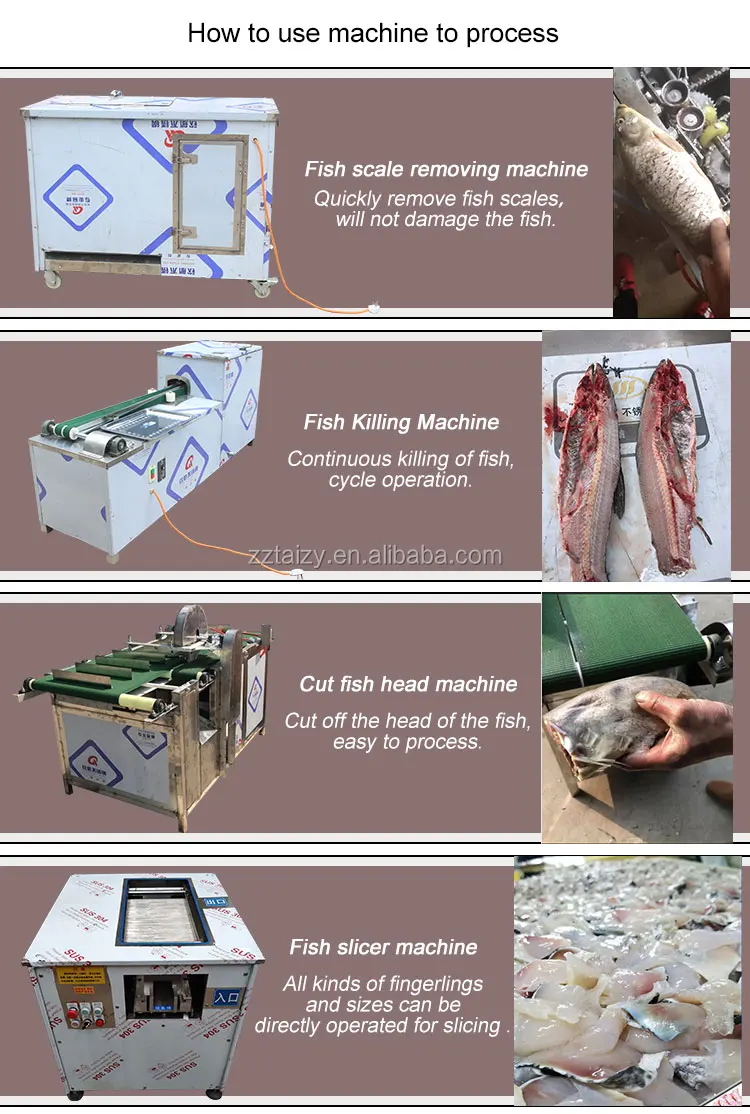 industryprocessingmachinery fish processing plant salmon fish heads cutting machine