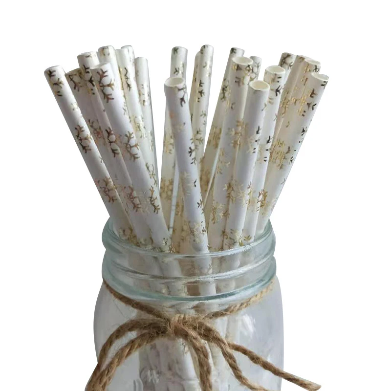 

Festival Christmas Birthday Party Decor Disposable paper straws recycled
