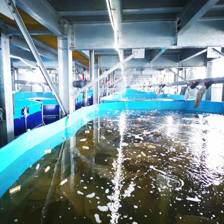 

2022 Anti-leaking 10000L flexible biofloc fish tank indoor plastic fish farming equipment aquaculture products