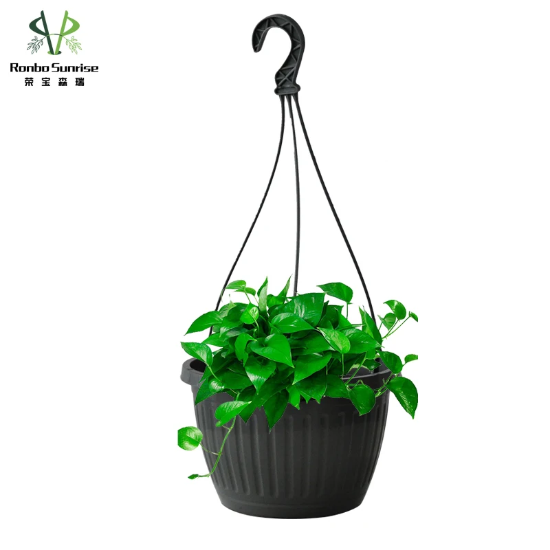 

Ronbo Sunrise Wholesale Hot Sell 10 Inch Outdoor Garden Round Nursery Plastic Flower Pots Plant Baskets Hanging