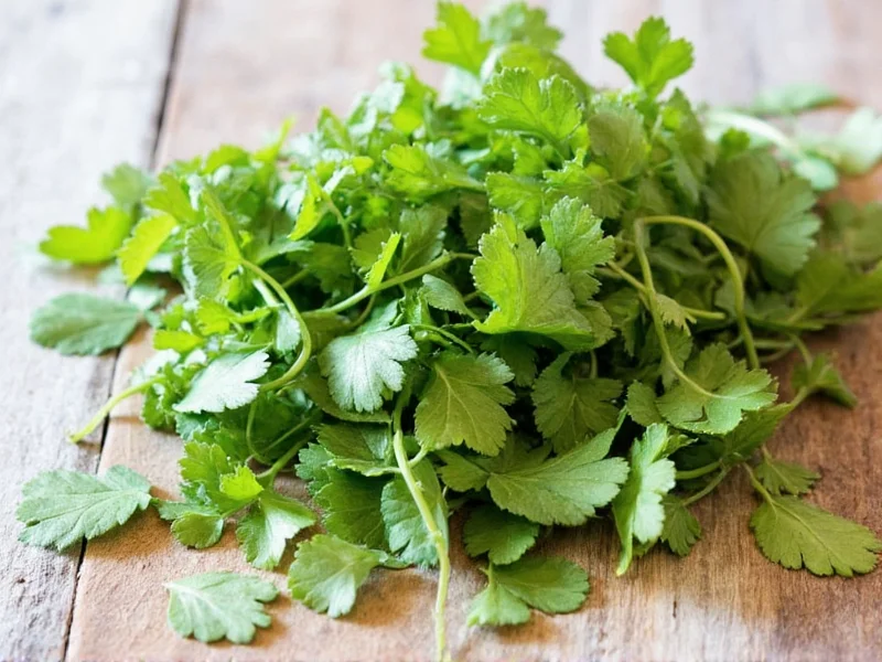 Best Coriander Substitutes: 5 Practical Alternatives for Cooking
