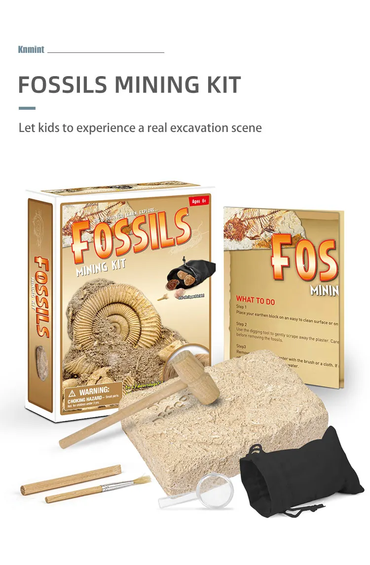 2021 Popular Toy Diy Dig And Discover Authentic Fossils Mining Kit / Real Fossil Excavation Kit