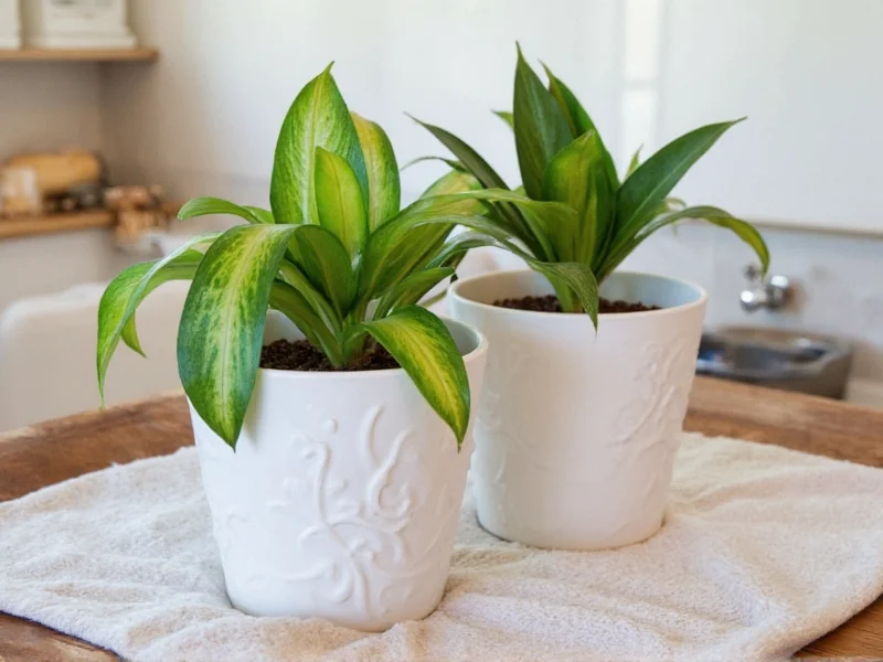 Build DIY Self Watering Containers: 3 Easy Methods