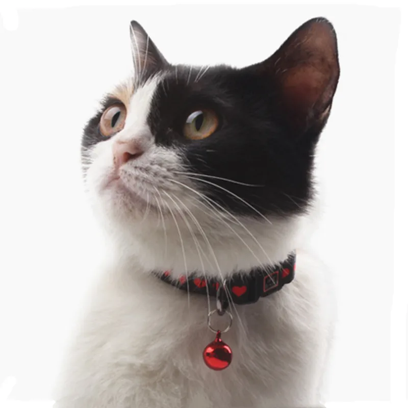 

Pet manufacturer customized logo collar para perro polyester breakaway cat collar bell, Customized for cat collar bells