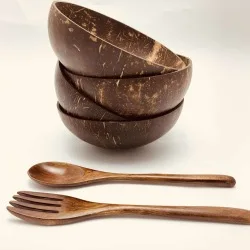 Details about   12-15cm Natural Coconut Bowl Set Handmade CoconutShell Tableware Wood Spoon Bowl 