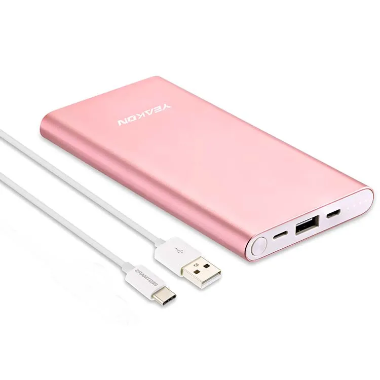 10000mah Portable Charger With Light Ning Port Quick Charger,One Of The